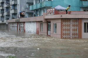 Unele grupări umanitare internaţionale au început deja să strângă provizii şi donaţii