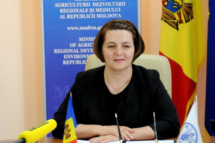 В Молдове разработают новый регламент Национального экологического фонда.