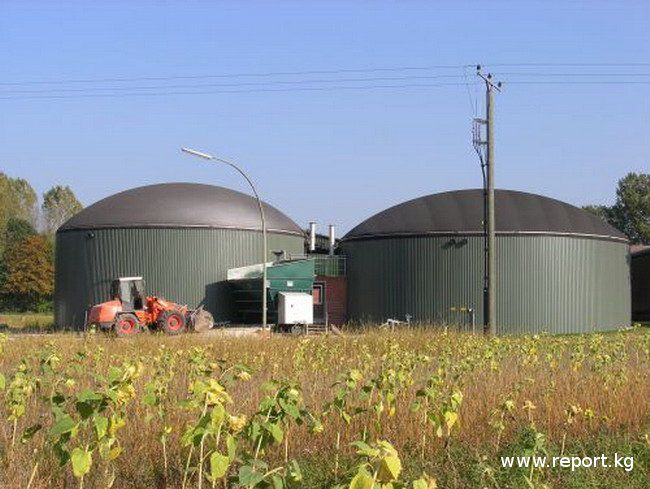 Для производства биогаза будут использоваться органические отходы с ферм.  Фото: nnm.me
