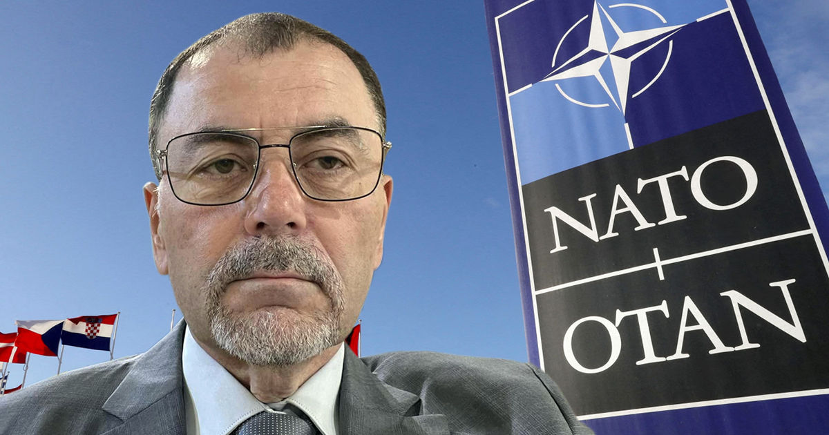 Шалару: Безопасность Молдове могут дать отказ от нейтралитета и вступление в НАТО. Коллаж: Point.md