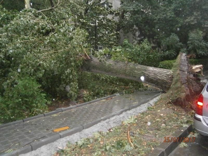На курорте Лакул Сэрат упавшее во время бури дерево убило жительницу Румынии.