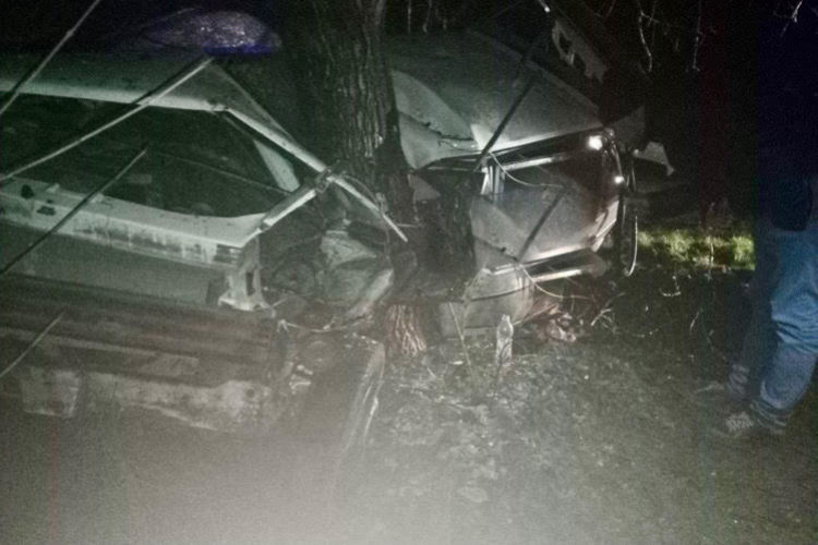 В Кантемире водитель врезался в дерево и получил серьезные травмы.