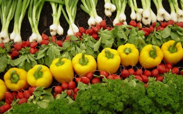 Serviciul fitosanitar „Roselhoznadzor” analizează posibilitatea introducerii unui embargo pentru toată producția agricolă europeană.