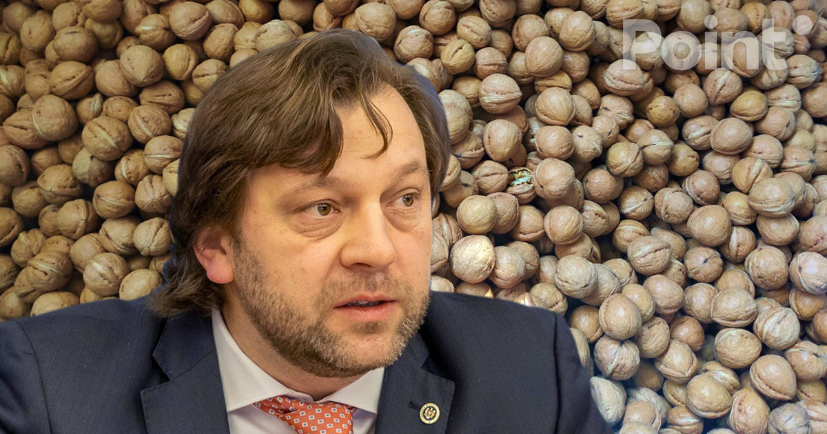 Alaiba: Moldova dublează exporturile de nuci către UE.