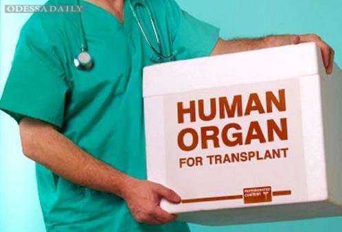 В Молдове около 800 человек в год нуждаются в пересадке почек, печени или сердца.  Фото: odessa-daily.com.ua