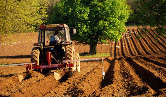 Guvernul, dator agricultorilor cu încă 20 de milioane de lei. Foto: ecomagazin.ro