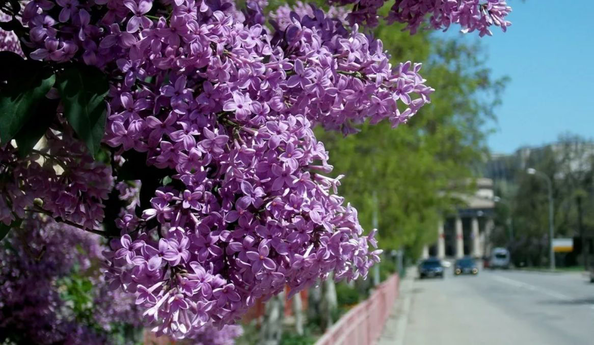 Синоптики прогнозируют в субботу теплую и солнечную погоду.