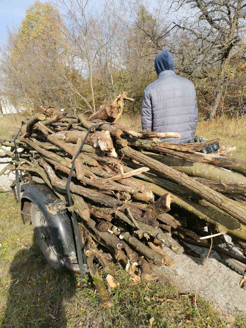 Житель Бричан оштрафован за незаконный сбор древесины.