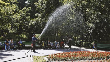 Poliţiştii au reţinut un tânăr care uda cânepă lângă un parc din Chişinău. Foto: publika.md