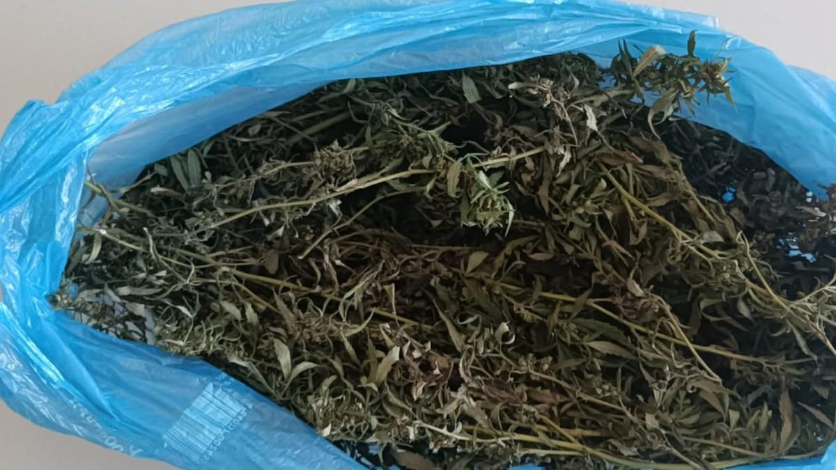 Un moldovean cu o pungă de marijuana, depistat de polițiștii de frontieră la Cahul.