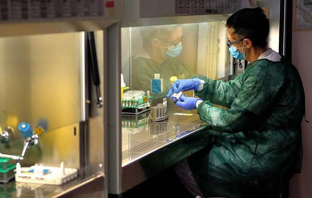 Pfizer проведет в России исследование нового лекарства от COVID-19.