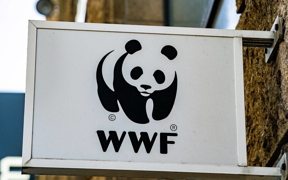 В WWF назвали пять угроз биоразнообразию на фоне пандемии.