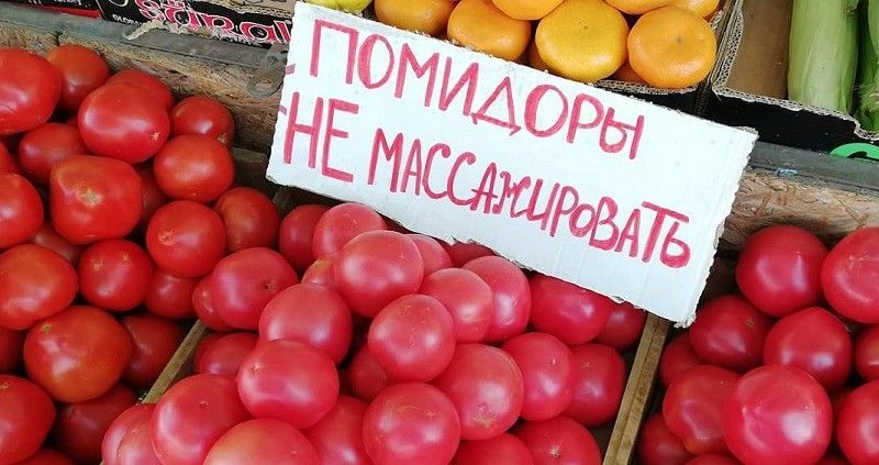 Сезон молдавских овощей в этом году начнётся позже.