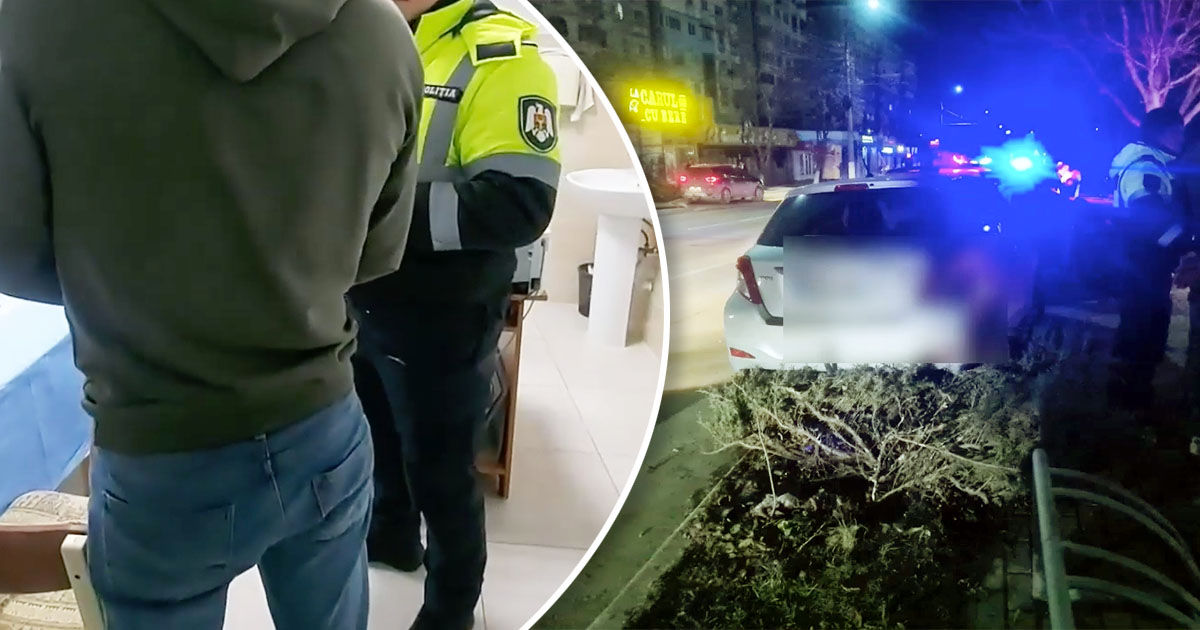В Каларашском районе патрульные догнали нетрезвого водителя, снёсшего дорожный знак. Коллаж: Point.md