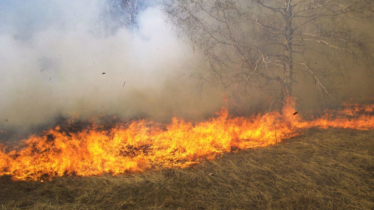 Pe parcursul ultimelor 24 de ore pompierii au intervenit la lichidarea a 37 de focare de vegetaţie aprinsă. Foto: agora.md