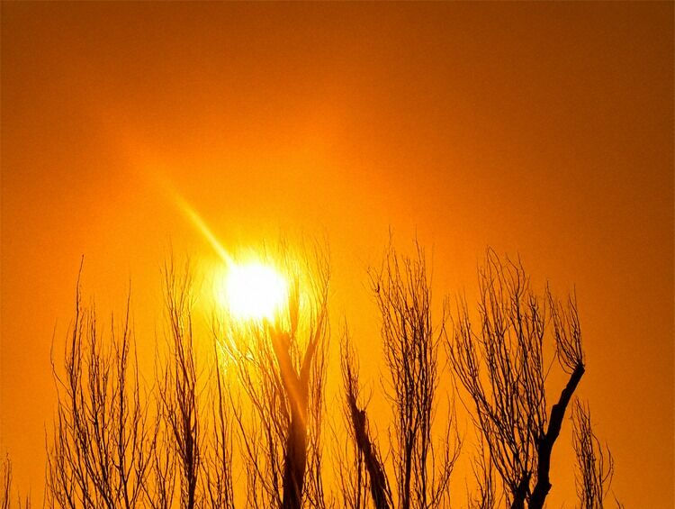 ONU: Temperatura aerului pe Pământ va stabili noi recorduri în următorii ani.