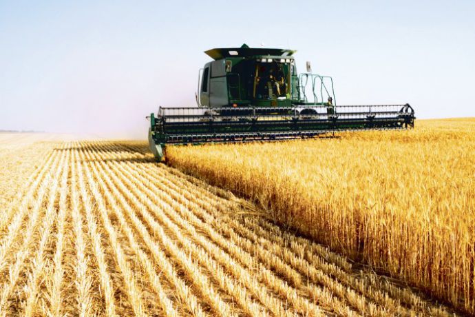 În Moldova a fost dat start primului seceriş. Primii care au ieşit să strângă recolta sunt agricultorii din Vulcăneşti.