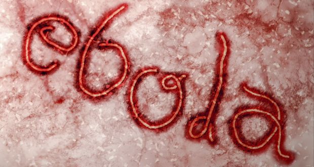 Precedentul bilanţ al OMS, prezentat pe 2 decembrie, anunţase 6.070 de morţi din 17.145 de persoane infectate cu virus.