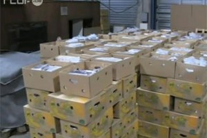 Эквадорские полицейские в ходе спецоперации в порту Гуаякиля перехватили груз кокаина общим весом более трех тонн.