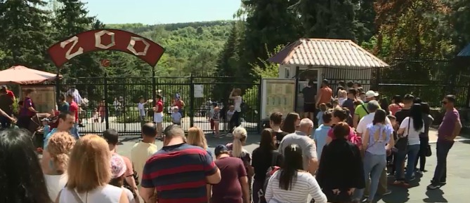 В середине апреля зоопарк закрыли на ремонт. Его сделали впервые за последние 15 лет. 