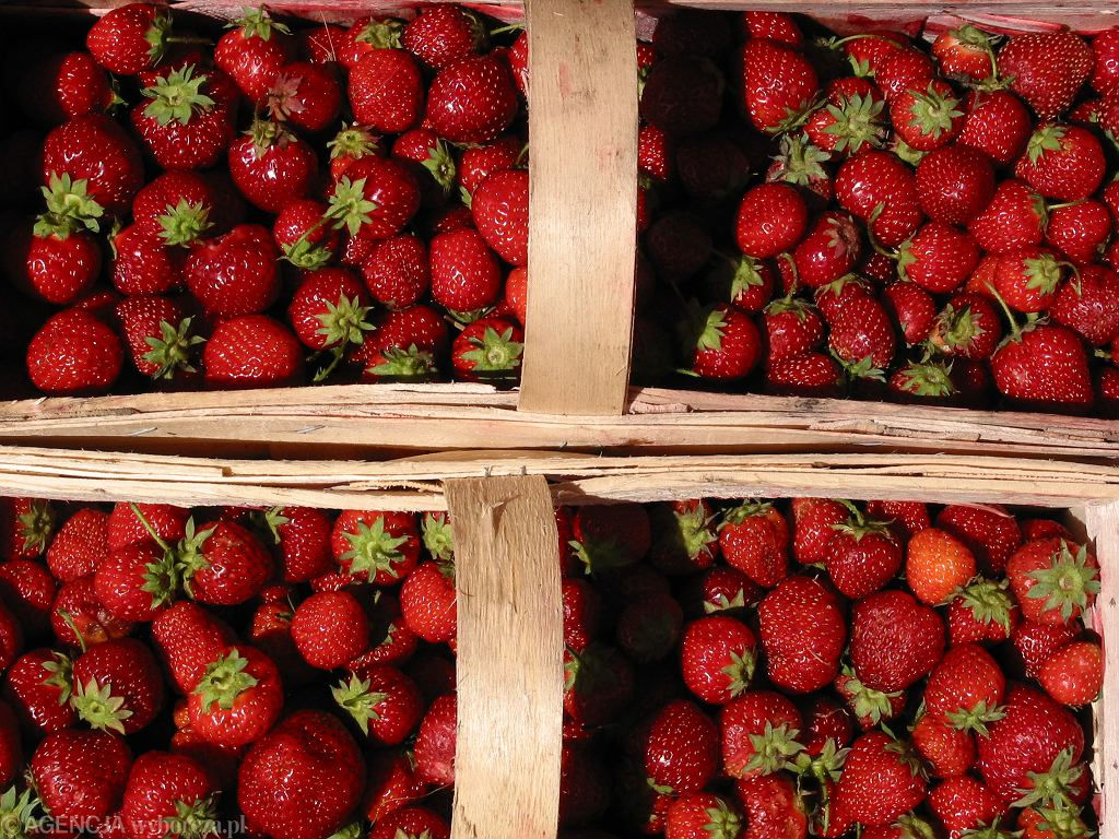 В Польше назревает конфликт из-за украинской плодово-ягодной продукции.