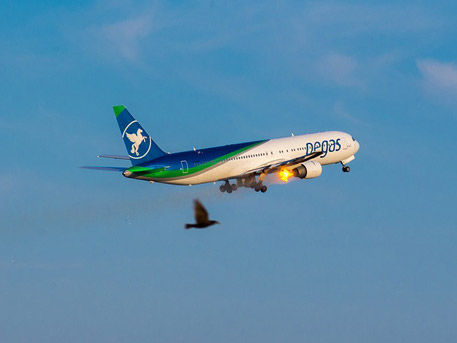 Пассажирский Boeing загорелся в небе над Крымом.