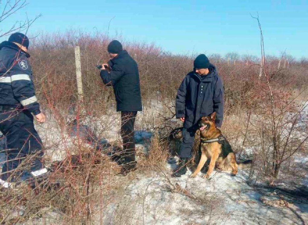 Au furat un porc dintr-o gospodărie din Cimișlia, însă au fost reținuți operativ datorită câinelui Poliției de Frontieră. Foto: border.gov.md