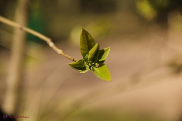 Dacă astăzi ne bucurăm de timp frumos și temperaturi de +22 și +25 de grade Celsius, începând de mâine vremea se schimbă simțitor.