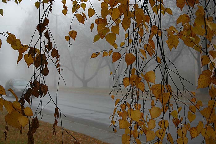 La 21 noiembrie sinopticii prognozează precipitaţii mixte, iar maximele termice nu vor depăşi valoarea de +5°С, relatează NOI.md.