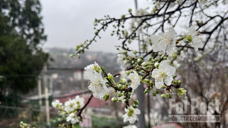 Новая неделя в Молдове начнется с потепления и пасмурного дня.