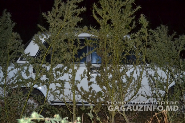 Стражи порядка обнаружили растущую коноплю на участке земли в 8 гектар.