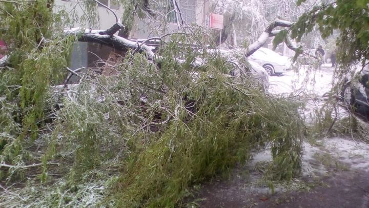 La faţa locului se află toate serviciile responsabile.
