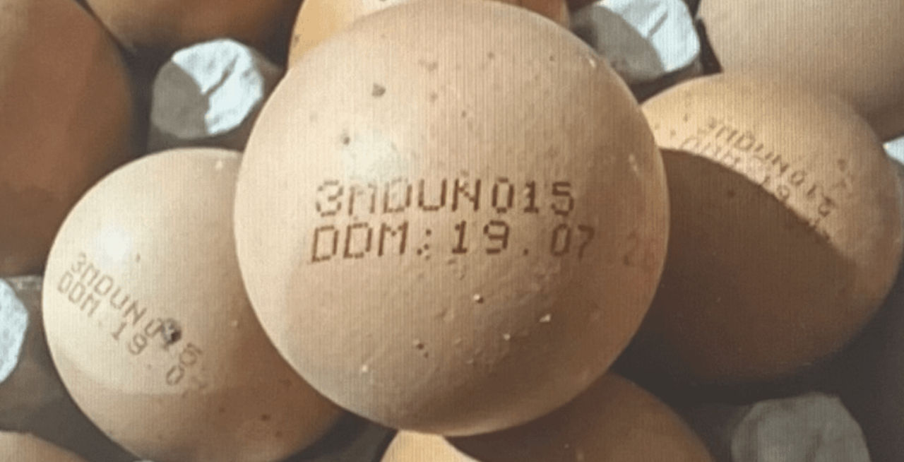 Высокий риск заражения сальмонеллой: из продажи изымается партия куриных яиц.