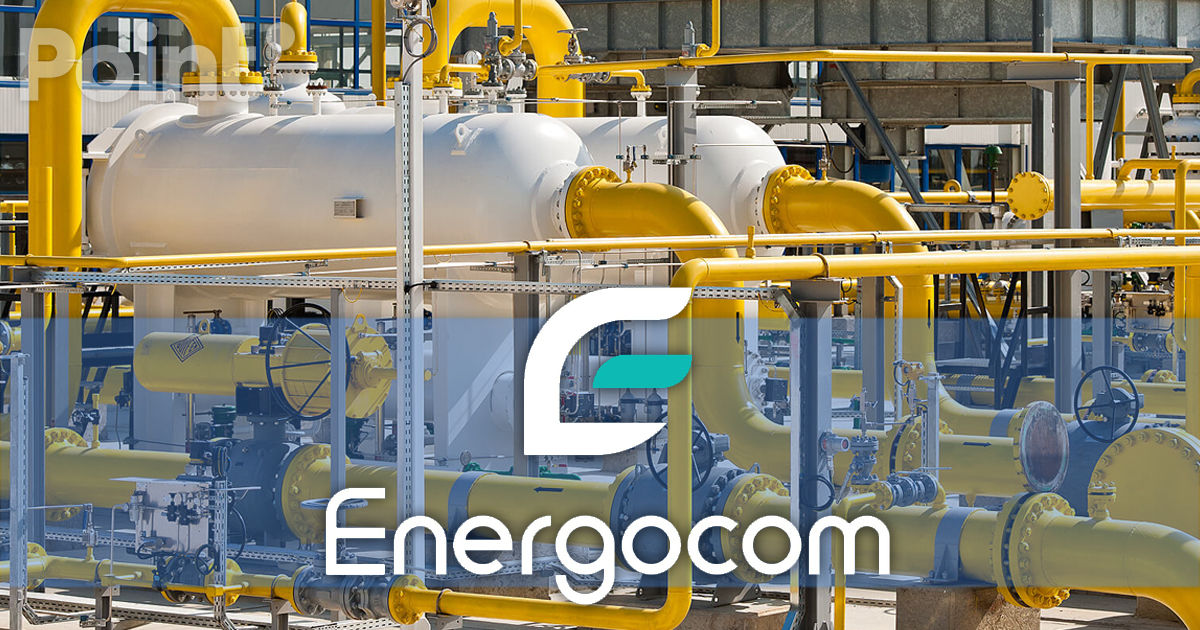 Curtea de Conturi: Energocom nu a asigurat integritatea tuturor dosarelor de achiziții ale gazelor naturale.