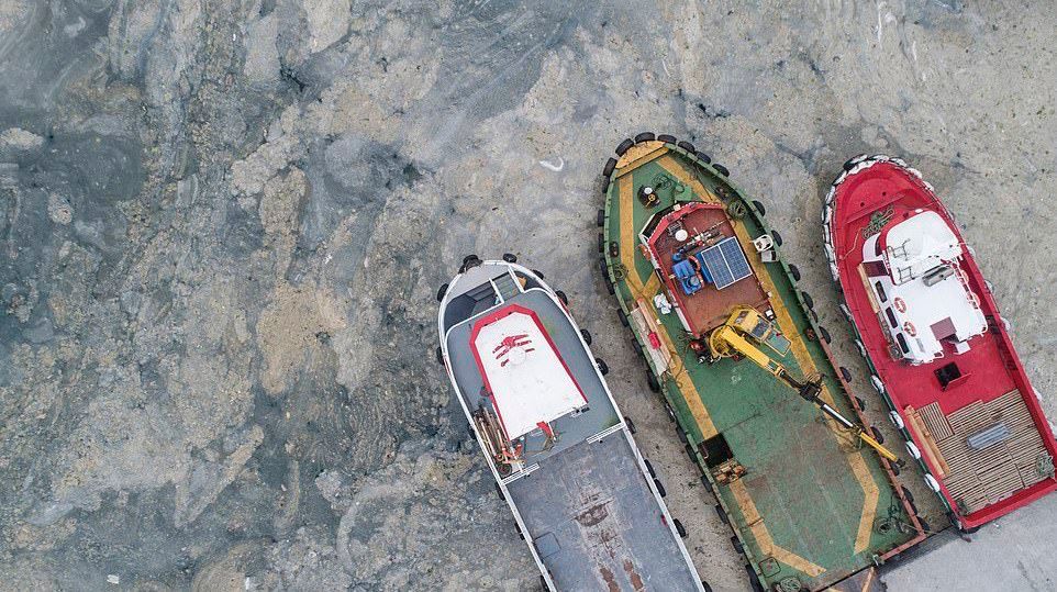 Побережье Турции покрыло «морскими соплями».