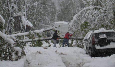 Câți bani s-au adunat pe conturile deschise după ninsoarea din aprilie. Foto: vremeanoua.ro