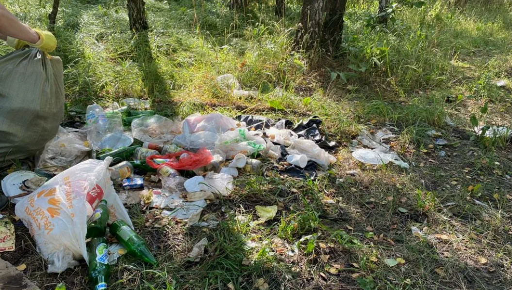 Печальную картину можно увидеть в лесопарках, где жители столицы праздновали День труда.