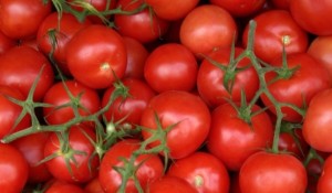 La jumătatea lunii iunie, moldovenii vor putea cumpăra, din pieţe, roşii de la producătorii autohtoni.