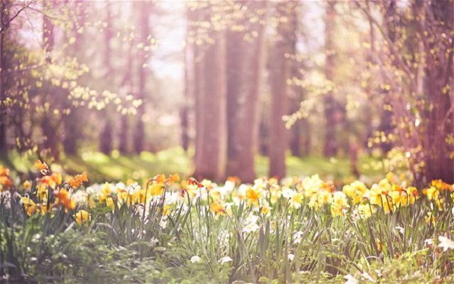 Pentru astăzi, 30 aprilie, meteorologii anunţă vreme însorită și temperaturi generoase. 