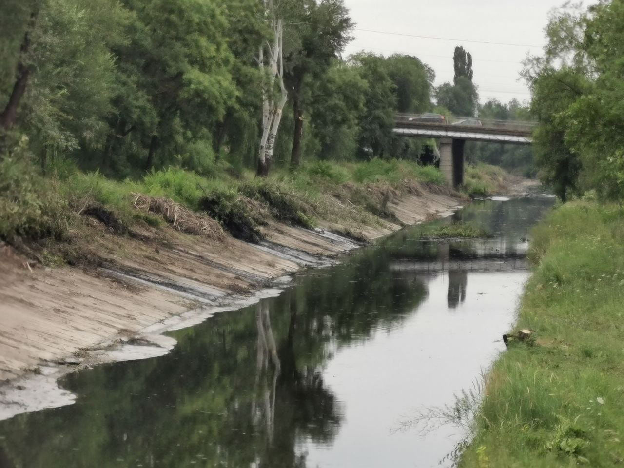 Рискуем потерять водоем: река Бык с каждым годом превращается в сточную канаву.