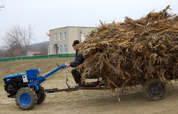 Tot mai mulți localnici, căruțași pînă nu demult, își pun hamurile în cui și urcă la volanul unor „cai metalici”.