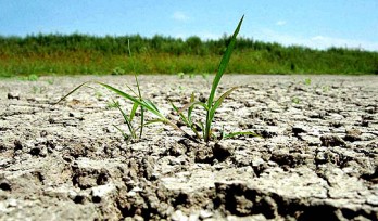 În raionul Hânceşti sunt 8 astfel de centrale. Autorităţile din raion susţin că acestea au rămas practic fără combustibil