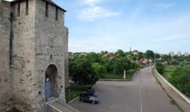 Сорока тоже желает стать муниципипем. Фото: ro.wikipedia.org