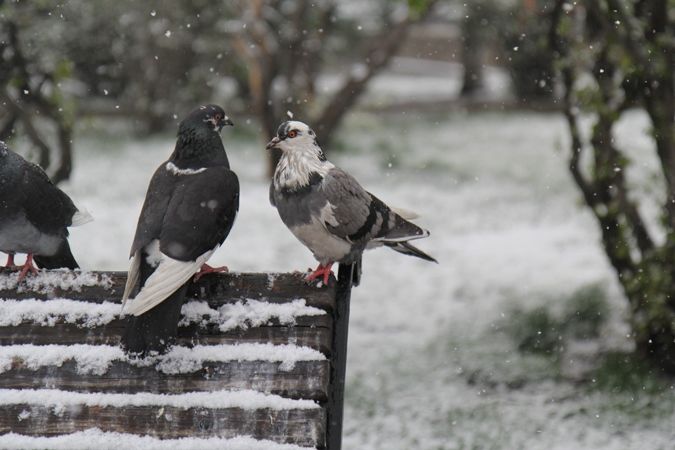 Weekendul începe cu vreme posomorâtă, țara va fi acoperită de nori.