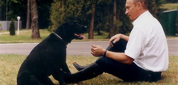 Labradorul lui Putin zbura cu avion din clasa VIP. Foto: fb.ru