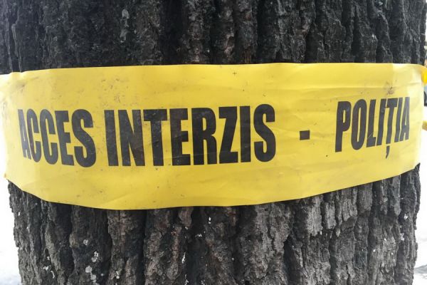 В лесополосе вблизи Комрата найдено тело повесившегося мужчины.