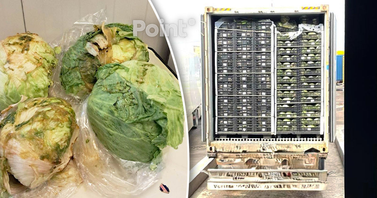 Peste 10 tone de salată Iceberg și ceapă verde au fost distruse la frontieră.