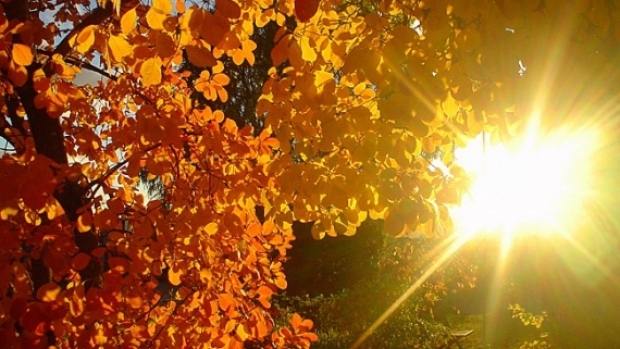 Timpul se va răci începând cu săptămâna viitoare, când temperaturile vor coborî până la +8 și +14 grade Celsius ziua.