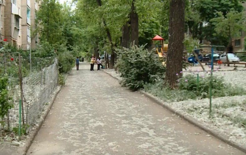 Пух повсюду - на улице, во дворах, на машинах. 