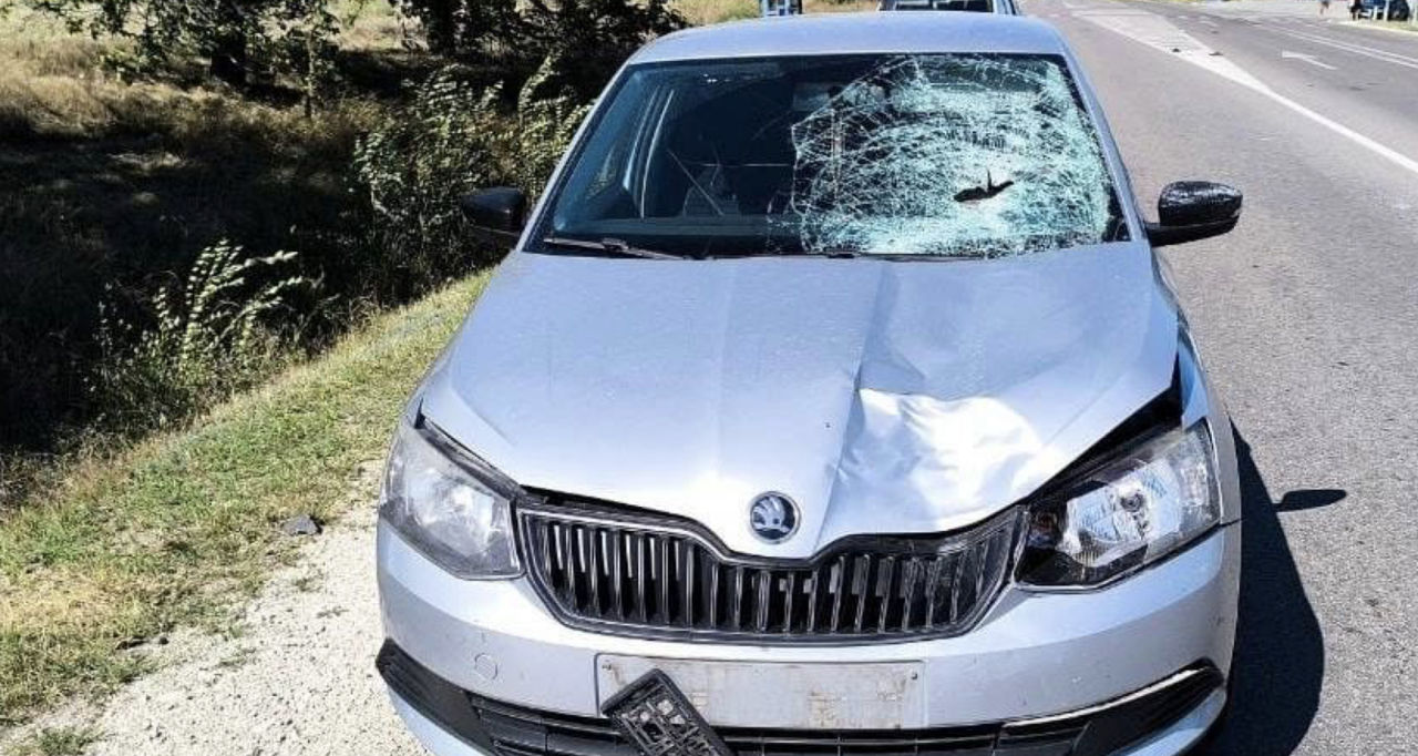 Возле Бешалмы произошло ДТП: 63-летний пешеход погиб под колесами автомобиля.